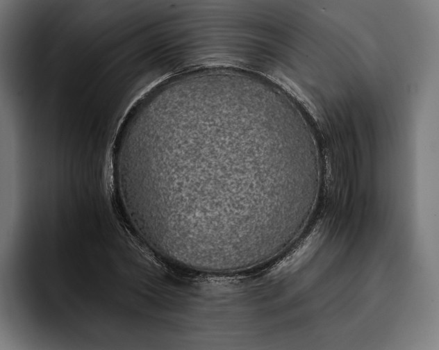 X0000093120782200710101039