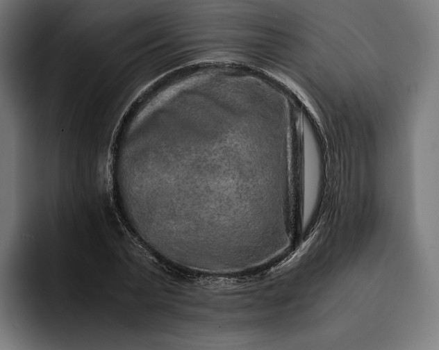 X0000093120783200710101039