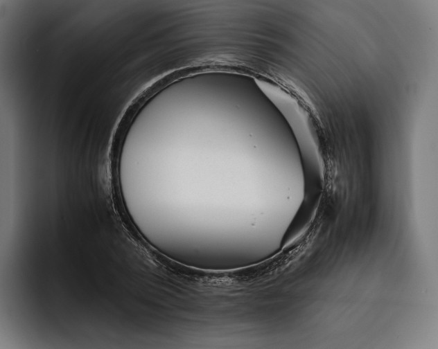 X0000093120784200710101039