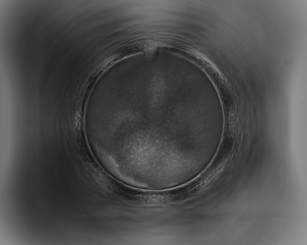 X0000093120785200710101039