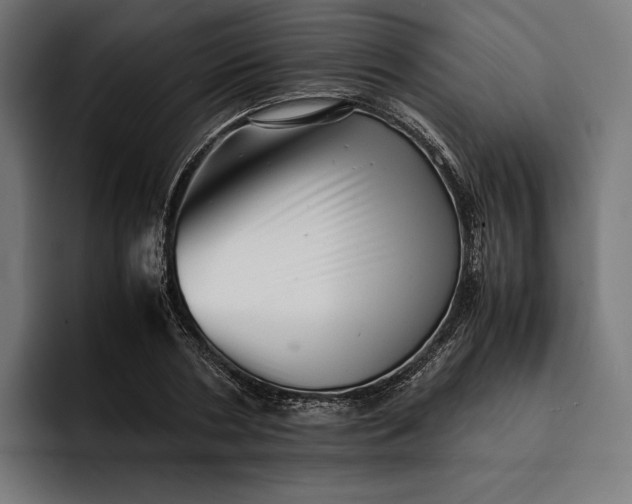 X0000093120786200710101039