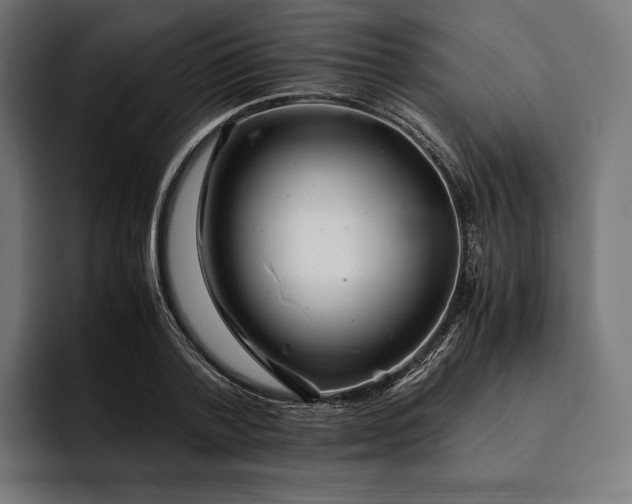 X0000093120788200710101039