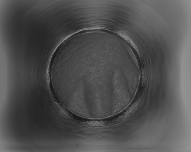 X0000093120789200710101039