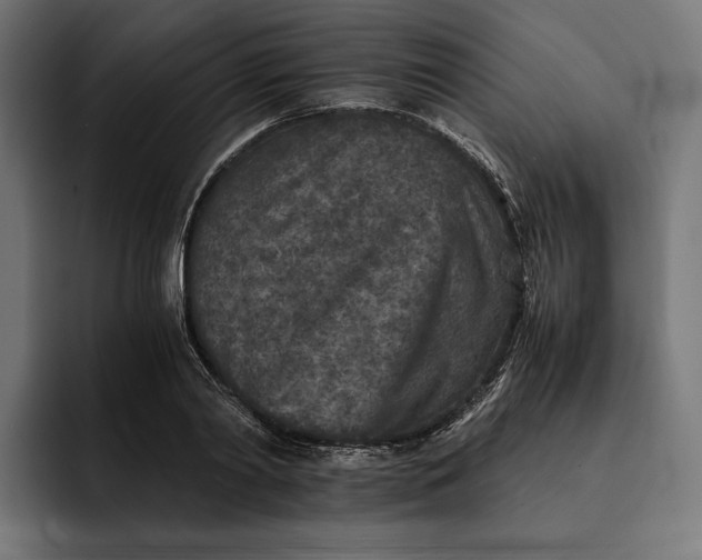 X0000093120790200710101039