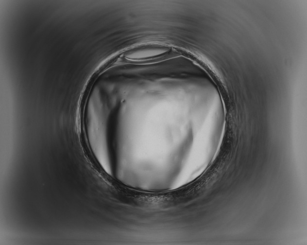 X0000093120791200710101039