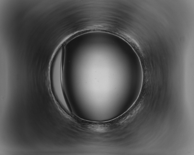 X0000093120792200710101039