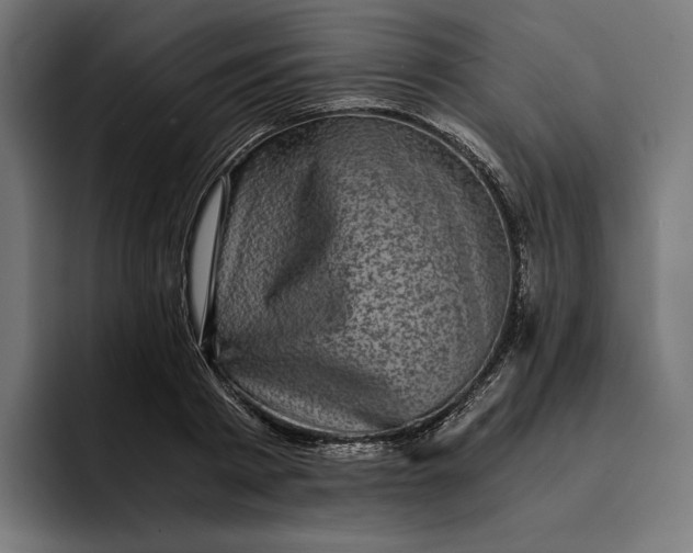 X0000093120793200710101039