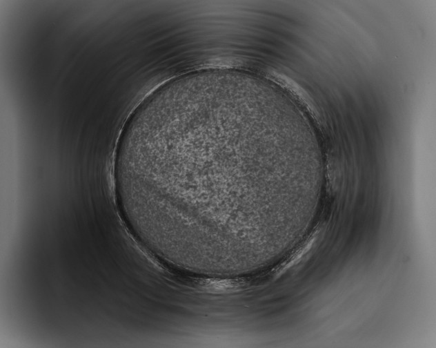 X0000093120794200710101039