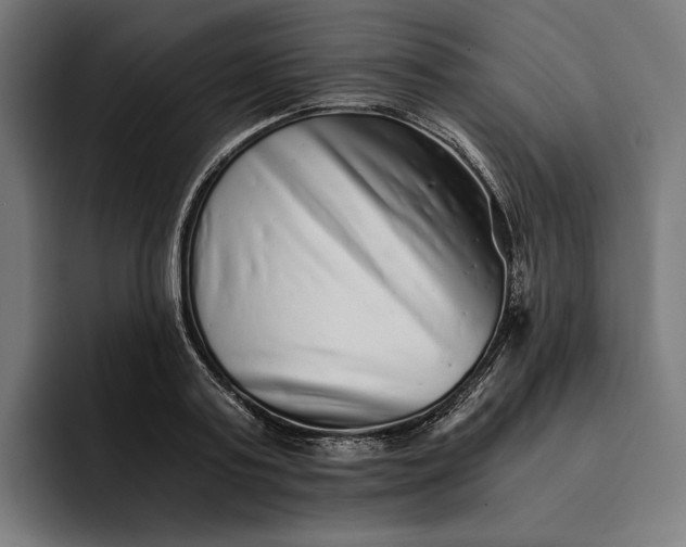 X0000093120795200710101039