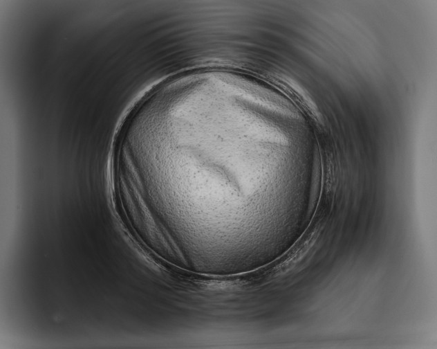 X0000093120796200710101039