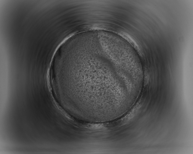 X0000093120798200710101039