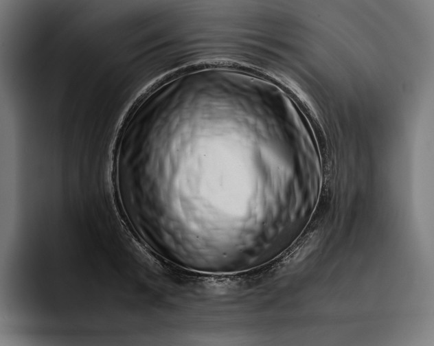 X0000093120799200710101039