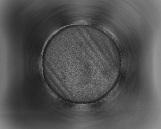 X0000093120800200710101039