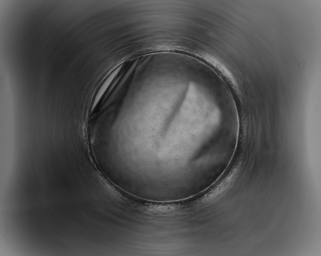 X0000093120801200710101039