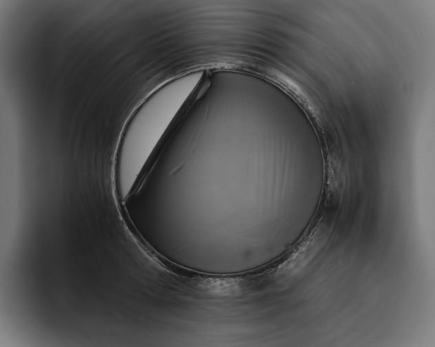 X0000093120802200710101039