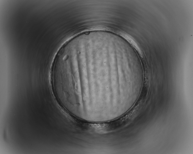 X0000093120805200710101039