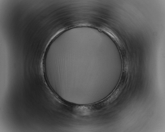 X0000093120806200710101039