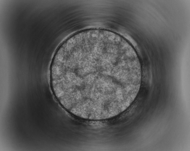 X0000093120807200710101039