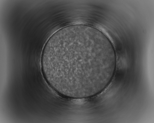 X0000093120810200710101039