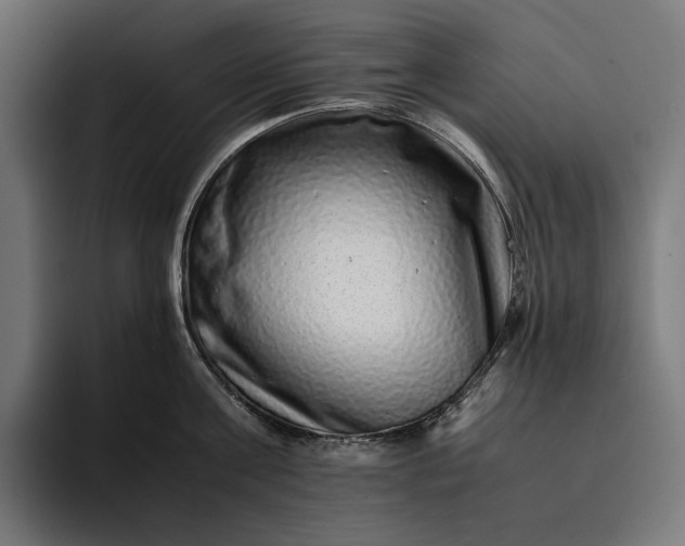 X0000093120811200710101039