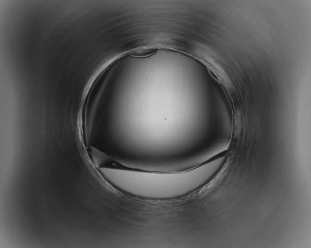 X0000093120812200710101039