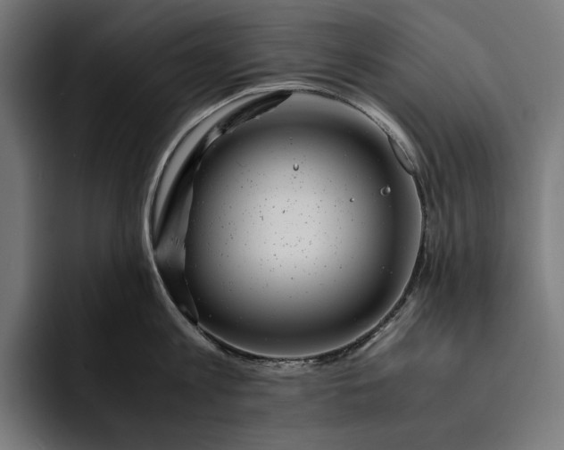 X0000093120813200710101039