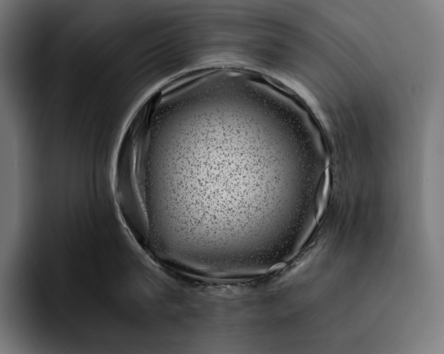 X0000093120815200710101039