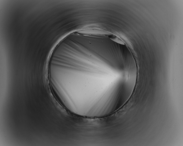 X0000093120816200710101039