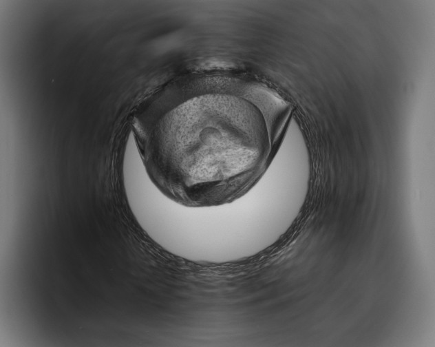 X0000093120818200710101038