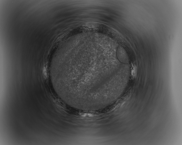 X0000093120819200710101038