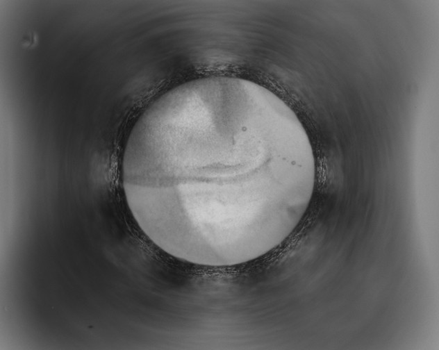 X0000093120820200710101038