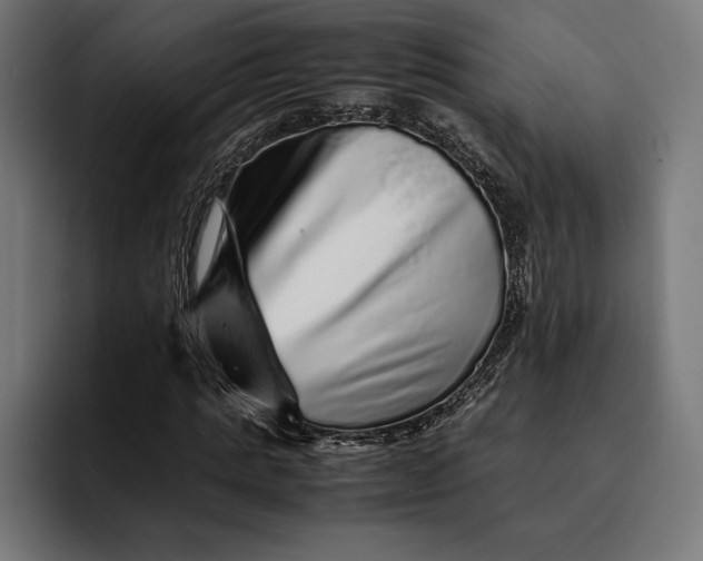 X0000093120821200710101038