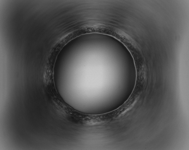 X0000093120822200710101038