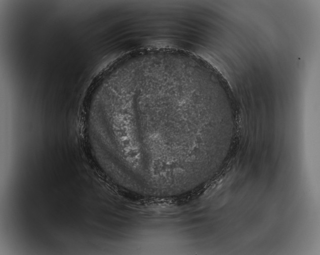 X0000093120823200710101038