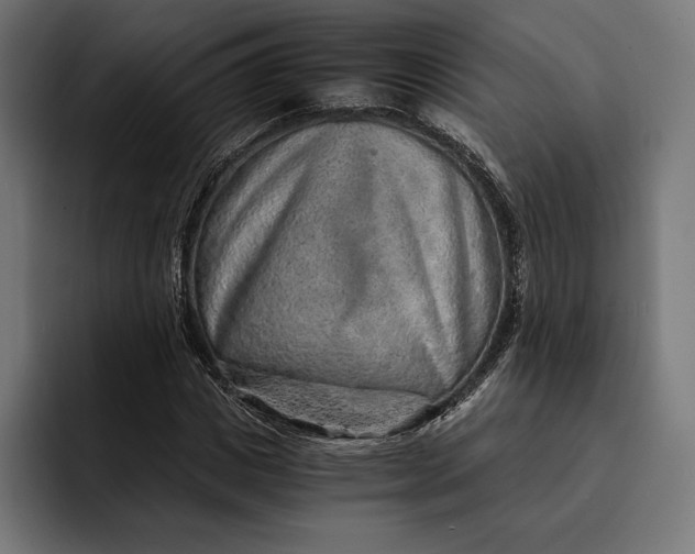 X0000093120825200710101038