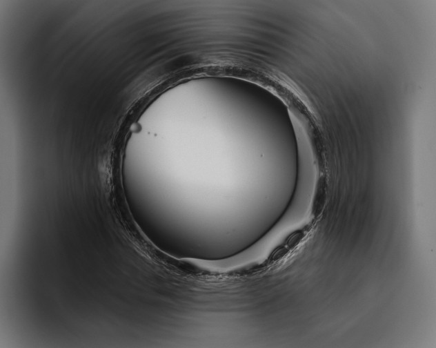 X0000093120826200710101038