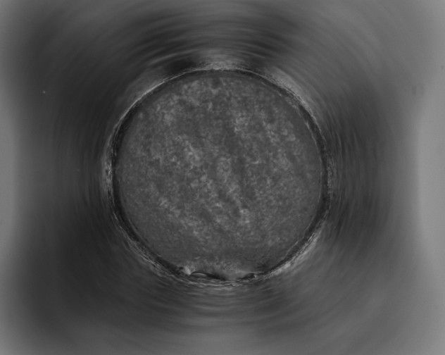 X0000093120827200710101038