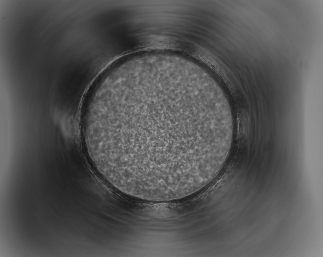 X0000093120828200710101038