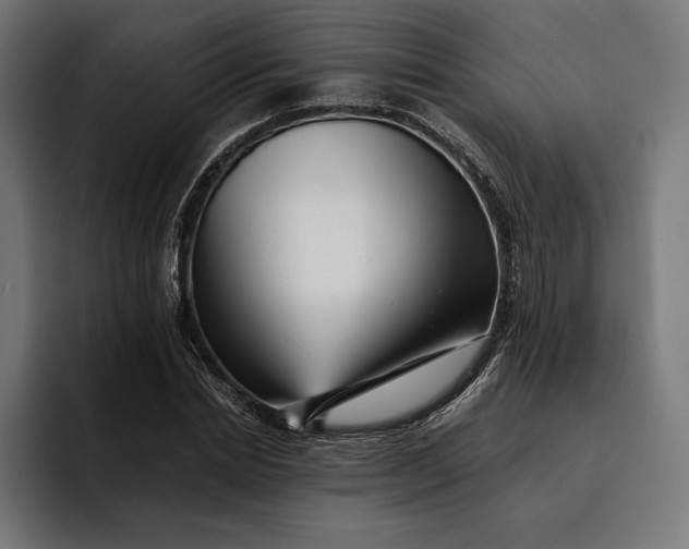 X0000093120830200710101038