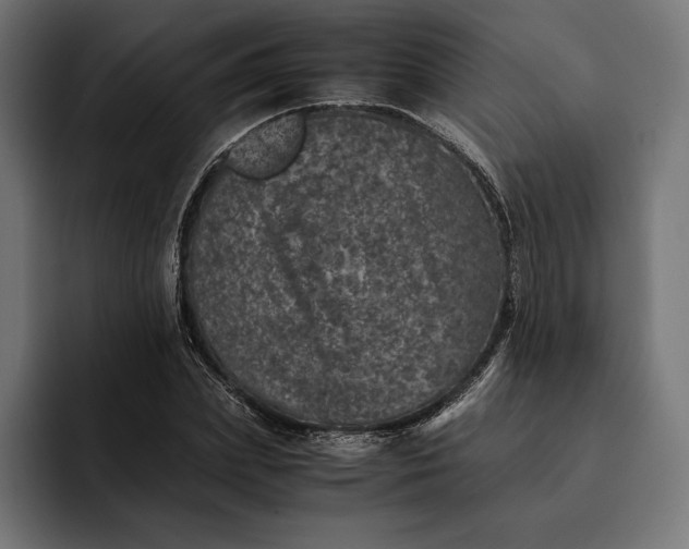 X0000093120831200710101038