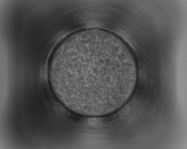 X0000093120832200710101038