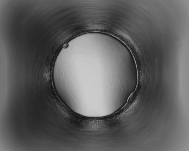 X0000093120833200710101038