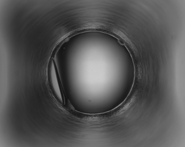 X0000093120834200710101038