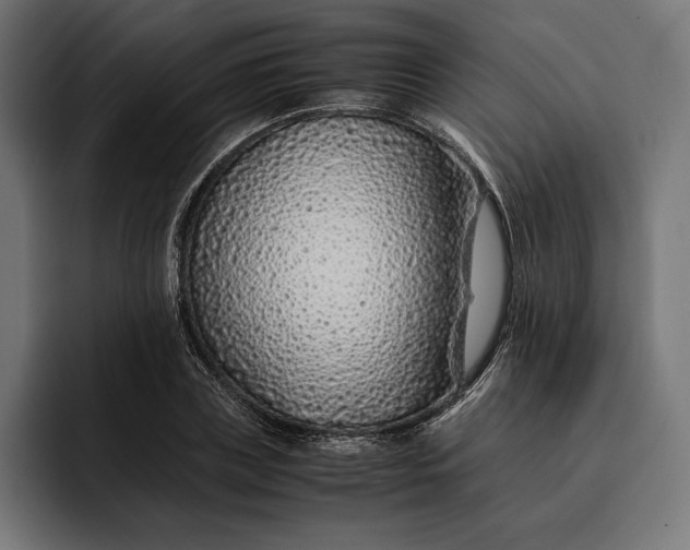 X0000093120835200710101038