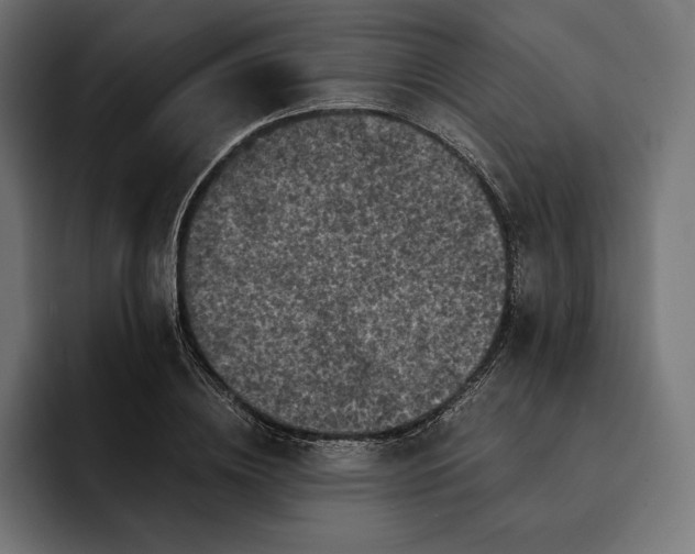 X0000093120836200710101039