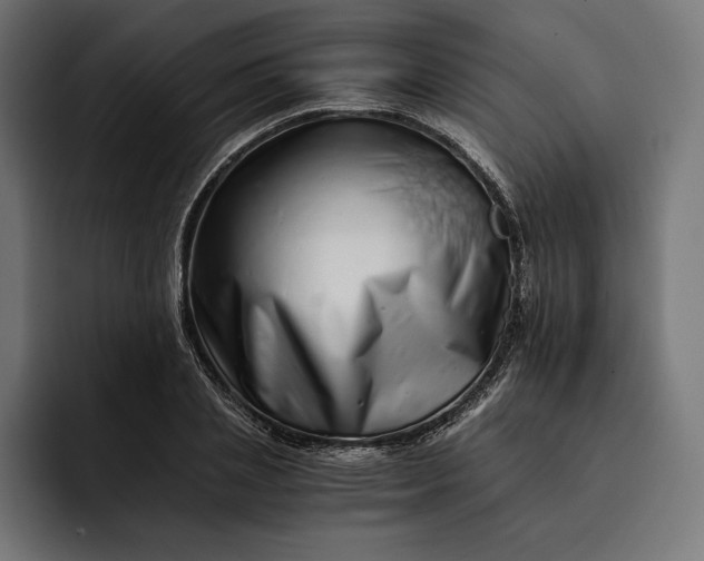 X0000093120837200710101039