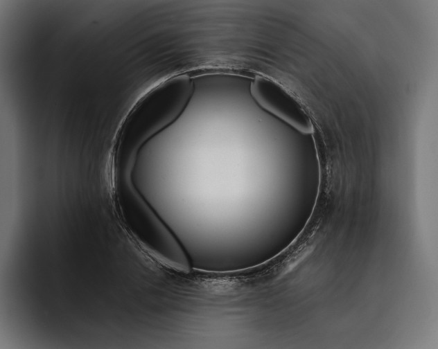 X0000093120838200710101039