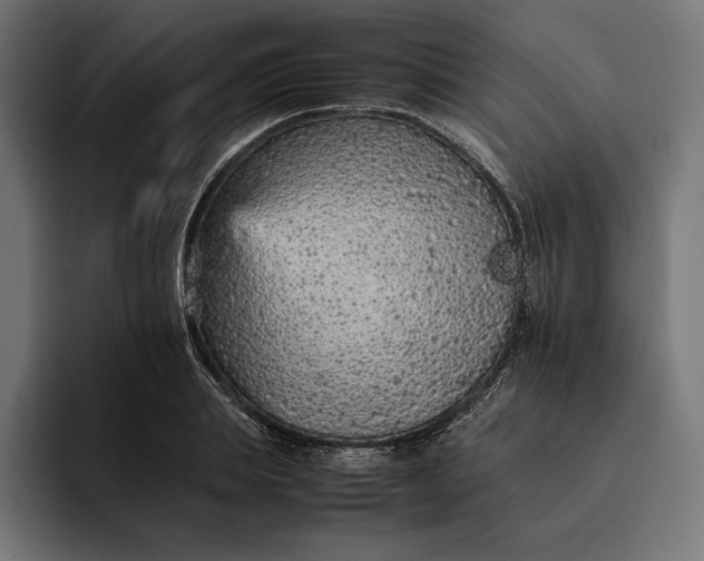 X0000093120839200710101039