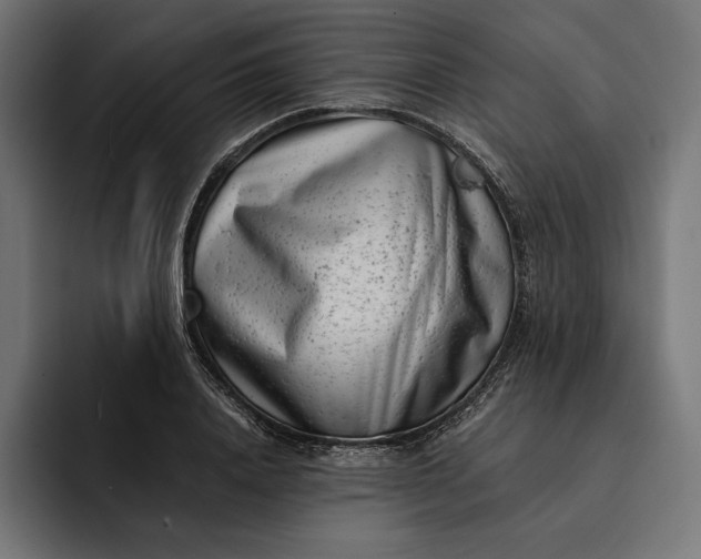 X0000093120840200710101039