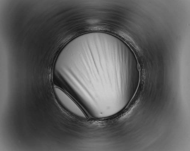 X0000093120841200710101039